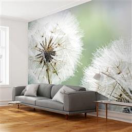 ΦΩΤΟΤΑΠΕΤΣΑΡΙΑ - TWO DANDELIONS 400X309 POLIHOME