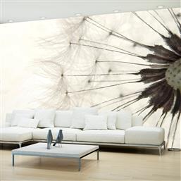 ΦΩΤΟΤΑΠΕΤΣΑΡΙΑ - WHITE DANDELION 150X105 POLIHOME