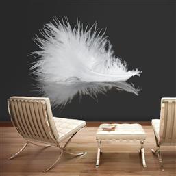 ΦΩΤΟΤΑΠΕΤΣΑΡΙΑ - WHITE FEATHER 350X270 POLIHOME