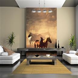 ΦΩΤΟΤΑΠΕΤΣΑΡΙΑ - WILD HORSES OF THE STEPPE 400X309 POLIHOME