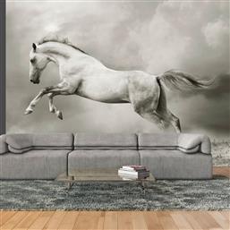 ΦΩΤΟΤΑΠΕΤΣΑΡΙΑ - WILD STALLION 350X270 POLIHOME