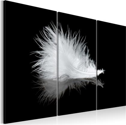 ΠΙΝΑΚΑΣ - A SMALL FEATHER 60X40 POLIHOME