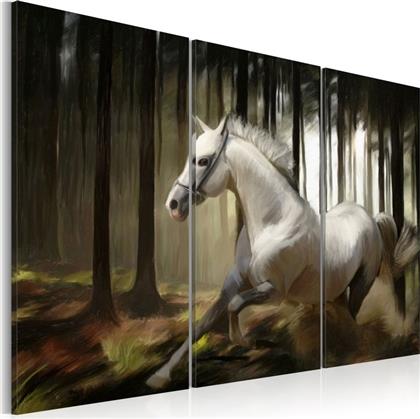 ΠΙΝΑΚΑΣ - A WHITE HORSE IN THE MIDST OF THE TREES - 60X40 POLIHOME