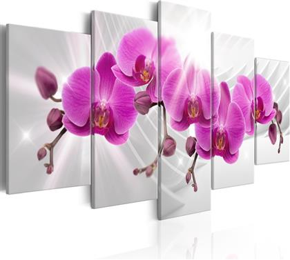 ΠΙΝΑΚΑΣ - ABSTRACT GARDEN: PINK ORCHIDS 200X100 POLIHOME