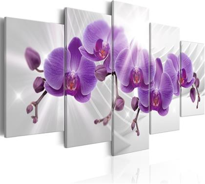 ΠΙΝΑΚΑΣ - ABSTRACT GARDEN: PURPLE ORCHIS 200X100 POLIHOME