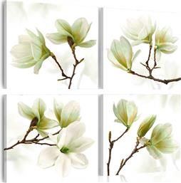 ΠΙΝΑΚΑΣ - ADMIRATION OF MAGNOLIA 60X60 POLIHOME