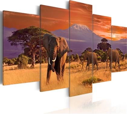 ΠΙΝΑΚΑΣ - AFRICA: ELEPHANTS 200X100 POLIHOME από το POLIHOME