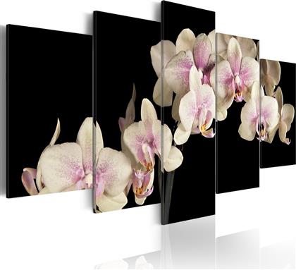 ΠΙΝΑΚΑΣ - AN ORCHID ON A CONTRASTING BACKGROUND 200X100 POLIHOME