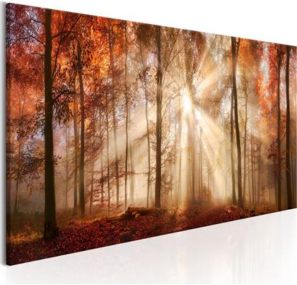 ΠΙΝΑΚΑΣ - AUTUMNAL DAWN 135X45 POLIHOME