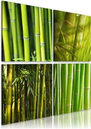 ΠΙΝΑΚΑΣ - BAMBOOS 60X60 POLIHOME