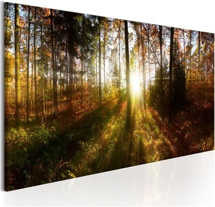 ΠΙΝΑΚΑΣ - BEAUTIFUL FOREST 120X40 POLIHOME