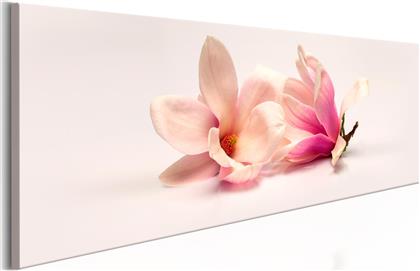 ΠΙΝΑΚΑΣ - BEAUTIFUL MAGNOLIAS 120X40 POLIHOME