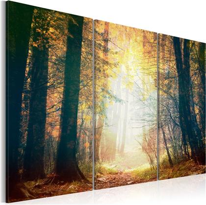 ΠΙΝΑΚΑΣ - BEAUTY OF AUTUMN - TRIPTYCH 90X60 POLIHOME