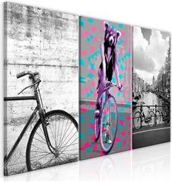 ΠΙΝΑΚΑΣ - BIKES (COLLECTION) - 120X60 POLIHOME