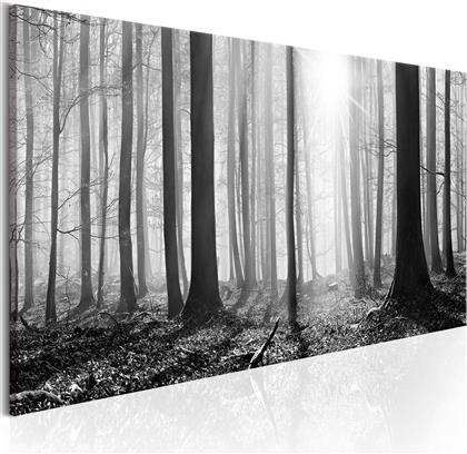 ΠΙΝΑΚΑΣ - BLACK AND WHITE FOREST 120X40 POLIHOME