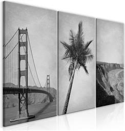 ΠΙΝΑΚΑΣ - CALIFORNIA (COLLECTION) - 120X60 POLIHOME