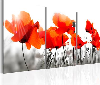 ΠΙΝΑΚΑΣ - CHARMING POPPIES 120X60 POLIHOME