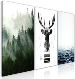 ΠΙΝΑΚΑΣ - CHILLY NATURE (COLLECTION) - 60X30 POLIHOME