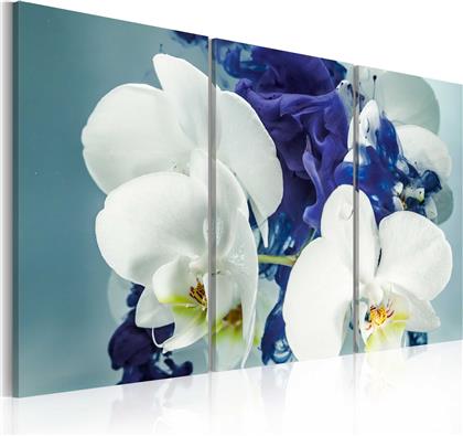 ΠΙΝΑΚΑΣ - CHIMERICAL ORCHIDS 90X60 POLIHOME