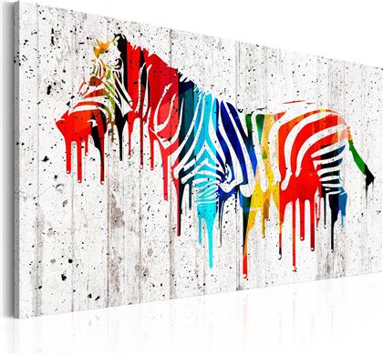 ΠΙΝΑΚΑΣ - COLOURFUL ZEBRA 60X40 POLIHOME