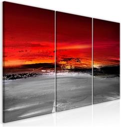 ΠΙΝΑΚΑΣ - CRIMSON LANDSCAPE (3 PARTS) - 120X60 POLIHOME