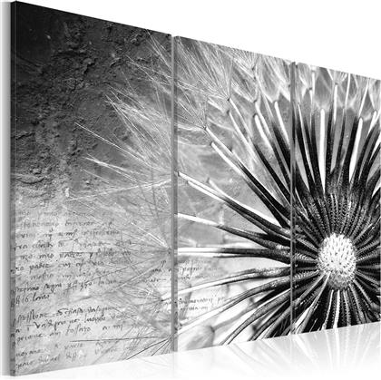 ΠΙΝΑΚΑΣ - DANDELION (BLACK AND WHITE) 60X40 POLIHOME