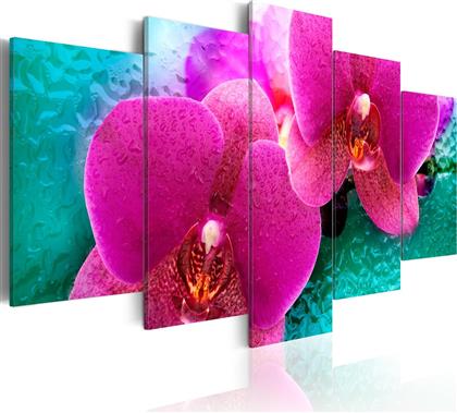 ΠΙΝΑΚΑΣ - EXOTIC ORCHIDS 100X50 POLIHOME