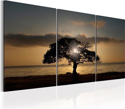 ΠΙΝΑΚΑΣ - EXTRAORDINARY NATURE 120X60 POLIHOME