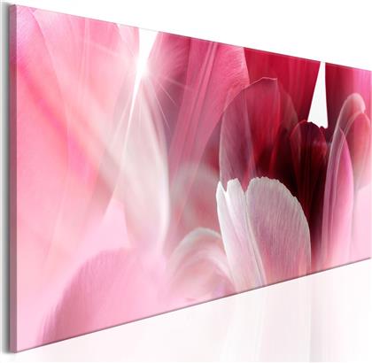 ΠΙΝΑΚΑΣ - FLOWERS: PINK TULIPS 120X40 POLIHOME