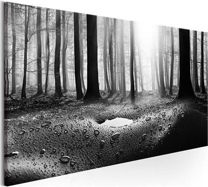 ΠΙΝΑΚΑΣ - FOREST AFTER RAIN (1 PART) NARROW 120X40 POLIHOME