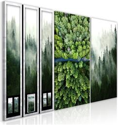 ΠΙΝΑΚΑΣ - FOREST (COLLECTION) - 120X60 POLIHOME