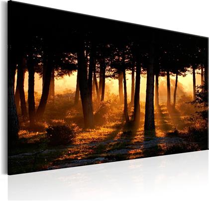 ΠΙΝΑΚΑΣ - FOREST DAWN 90X60 POLIHOME