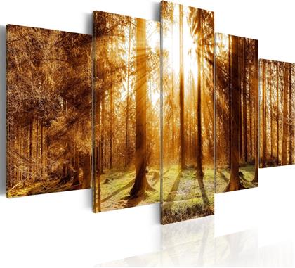 ΠΙΝΑΚΑΣ - FOREST ILLUMINATION 200X100 POLIHOME από το POLIHOME