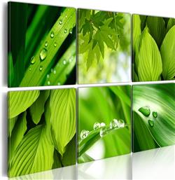 ΠΙΝΑΚΑΣ - FRESH GREEN LEAVES 60X40 POLIHOME από το POLIHOME