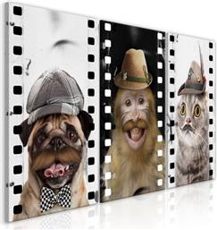 ΠΙΝΑΚΑΣ - FUNNY PETS (COLLECTION) - 60X30 POLIHOME