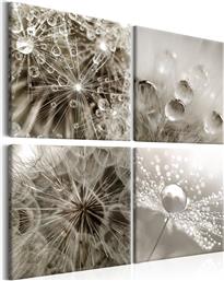 ΠΙΝΑΚΑΣ - GREY DANDELION 60X60 POLIHOME