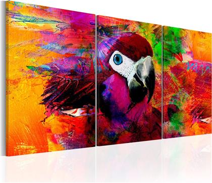 ΠΙΝΑΚΑΣ - JUNGLE OF COLOURS 60X30 POLIHOME