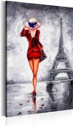 ΠΙΝΑΚΑΣ - LADY IN PARIS 60X90 POLIHOME