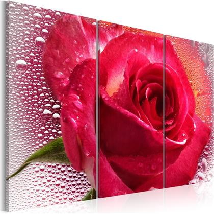 ΠΙΝΑΚΑΣ - LADY ROSE - TRIPTYCH 90X60 POLIHOME