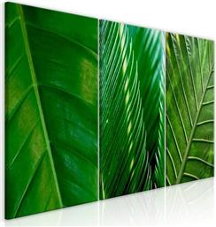 ΠΙΝΑΚΑΣ - LEAVES (COLLECTION) - 120X60 POLIHOME