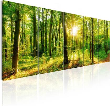 ΠΙΝΑΚΑΣ - MAGIC FOREST 225X90 POLIHOME από το POLIHOME