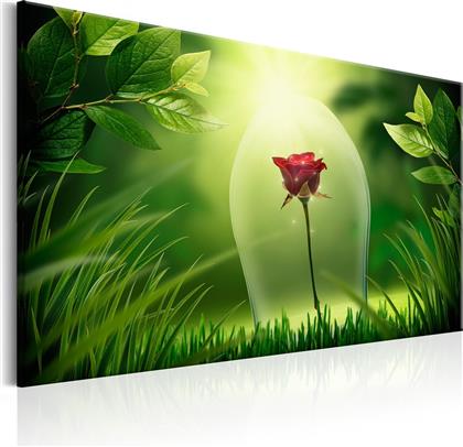 ΠΙΝΑΚΑΣ - MAGICAL ROSE 60X40 POLIHOME από το POLIHOME