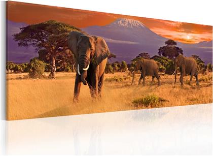 ΠΙΝΑΚΑΣ - MARCH OF AFRICAN ELEPHANTS 120X40 POLIHOME