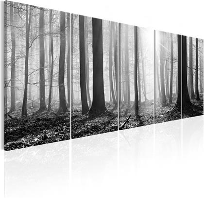 ΠΙΝΑΚΑΣ - MONOCHROME FOREST 225X90 POLIHOME