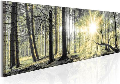 ΠΙΝΑΚΑΣ - MORNING FOREST 135X45 POLIHOME