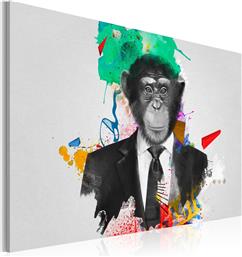 ΠΙΝΑΚΑΣ - MR MONKEY 60X40 POLIHOME