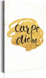 ΠΙΝΑΚΑΣ - MY HOME: CARPE DIEM 60X90 POLIHOME