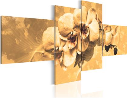 ΠΙΝΑΚΑΣ - ORCHIDS IN SEPIA - 100X45 POLIHOME