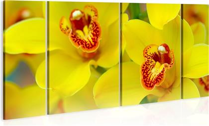 ΠΙΝΑΚΑΣ - ORCHIDS - INTENSITY OF YELLOW COLOR 60X30 POLIHOME