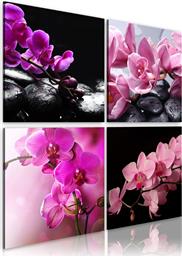 ΠΙΝΑΚΑΣ - ORCHIDS MORE BEAUTIFUL THAN EVER 80X80 POLIHOME